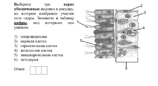 Украли аккаунт кракен