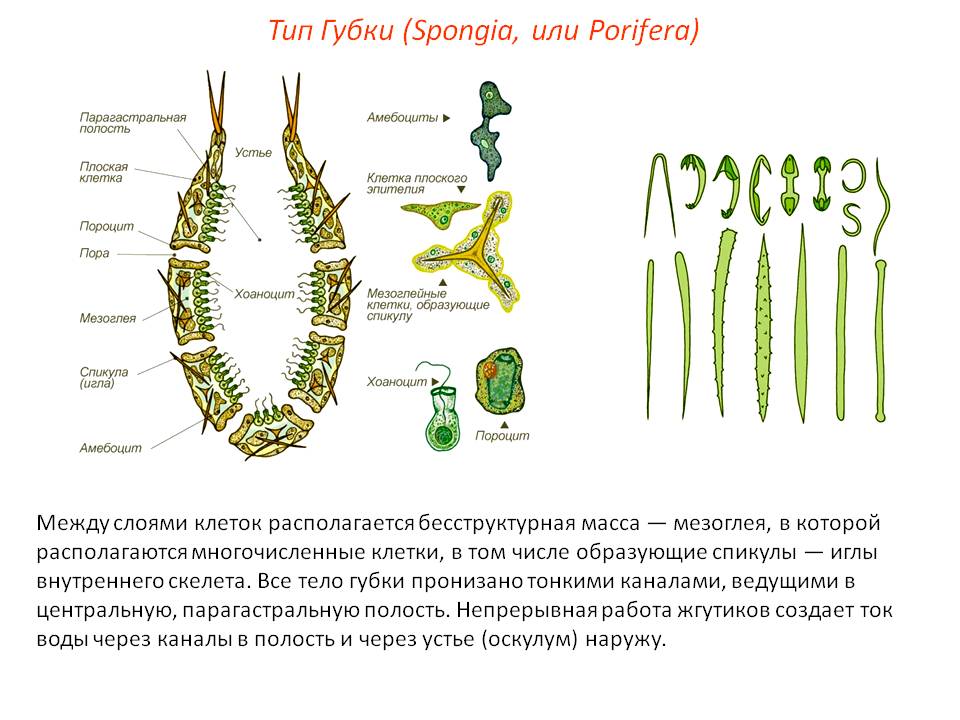 Кракен без тора